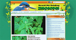 Desktop Screenshot of kopiec.zimorodek.com