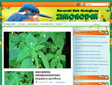 Tablet Screenshot of kopiec.zimorodek.com